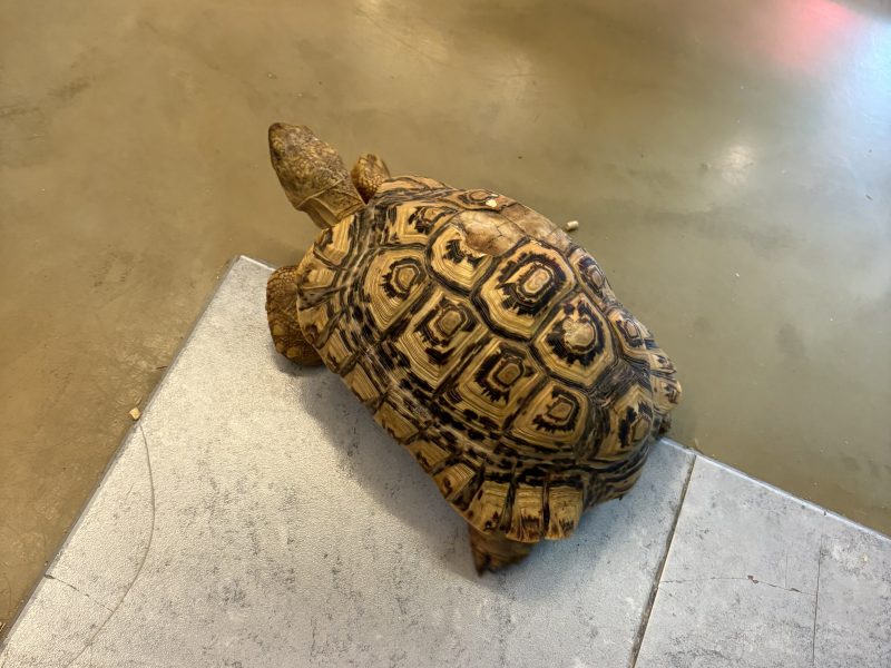 송도 동물체험 이색공간 마리앤쥬 솔직 방문 후기