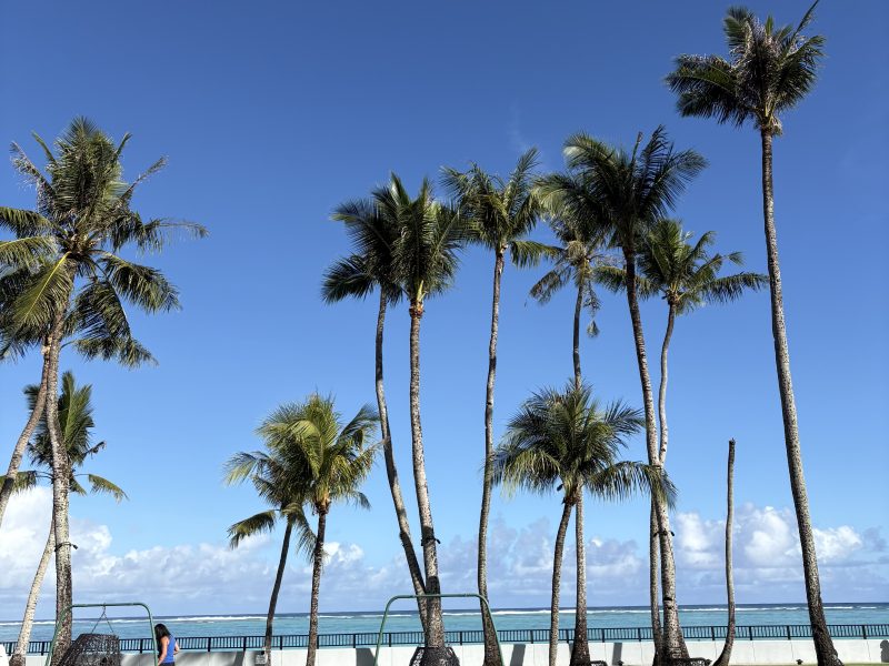 괌 크라운 플라자 리조트 아기랑 함께 한 숙박 후기