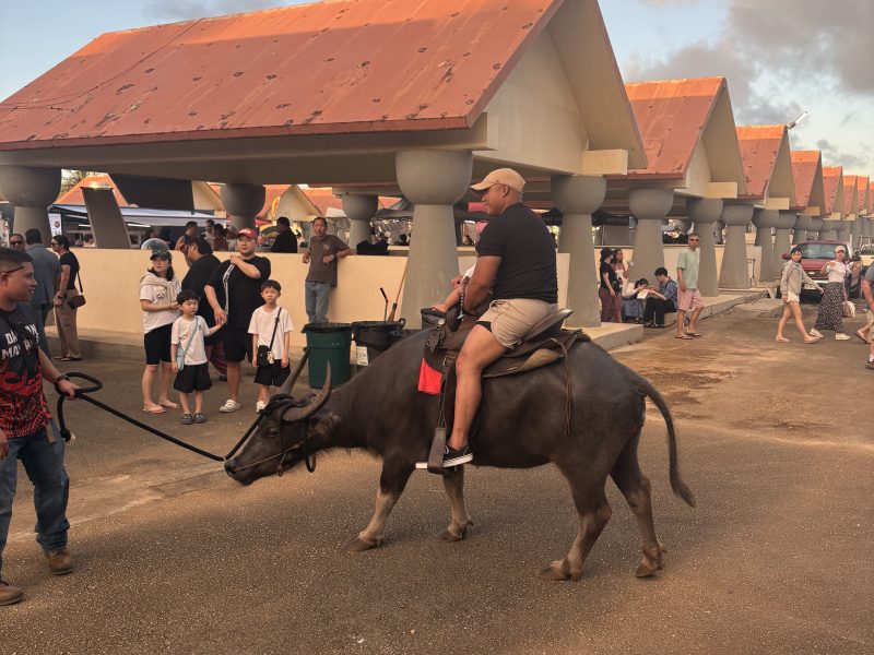 괌 매주 수요일 열리는 차모르 야시장 방문기
